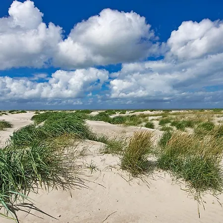 Duinzee Texel *