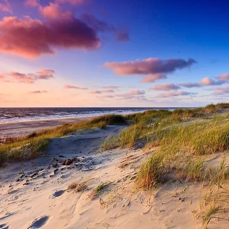 Appartemen Duinzee Texel *
