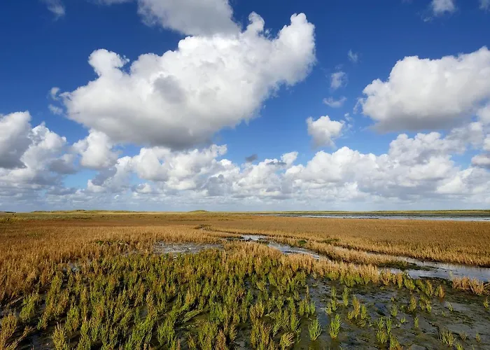 Duinzee Texel Apartment *