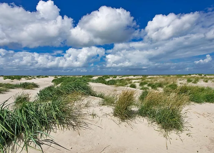 Duinzee Texel *