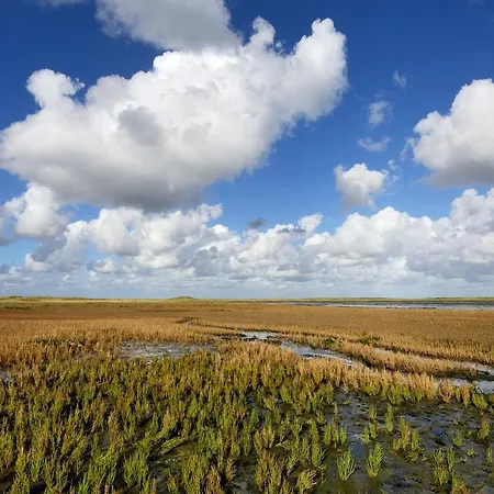 Duinzee Texel Lägenhet *