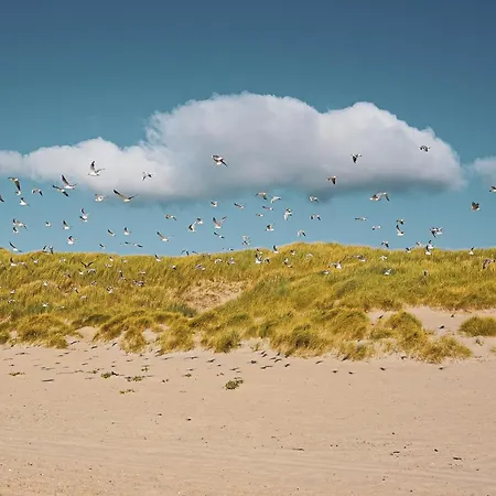 Duinzee Texel
